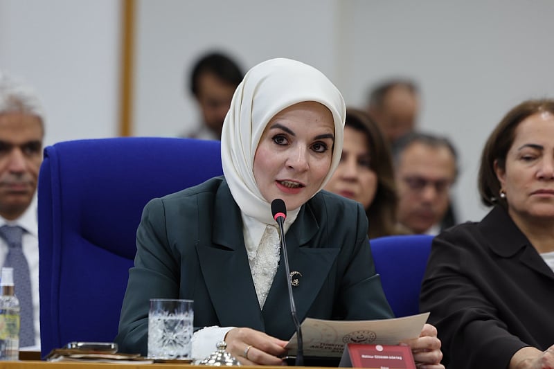 Polovina domaćinstava u Turskoj nema djecu: Za resornu ministricu je to pitanje nacionalnog opstanka Polovina domaćinstava u Turskoj nema djecu: Za resornu ministricu je to pitanje nacionalnog opstanka